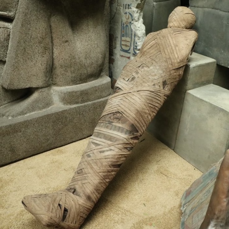 Momie égyptienne - 162cm