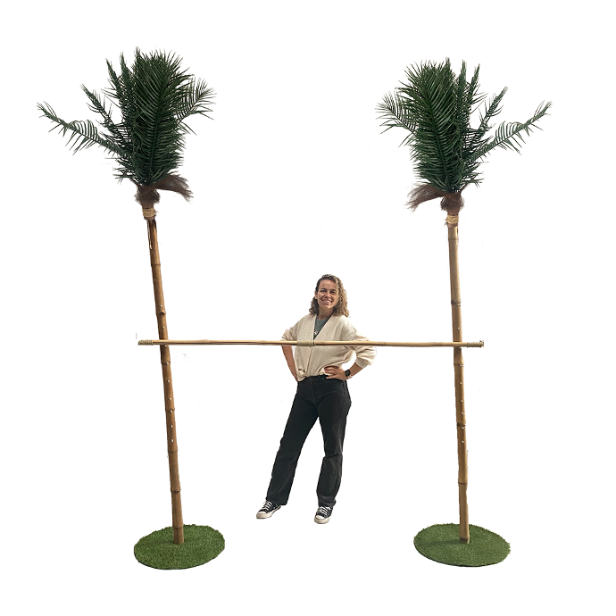 Jeu du Limbo - 230cm