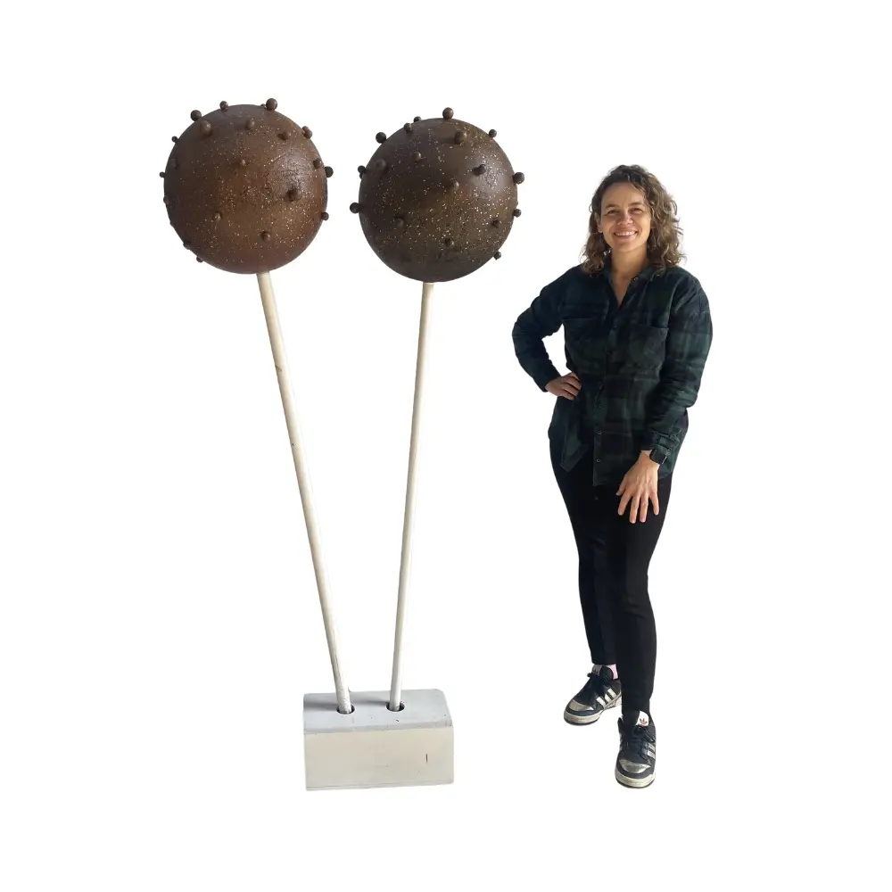 Lot de 2 sucettes chocolat