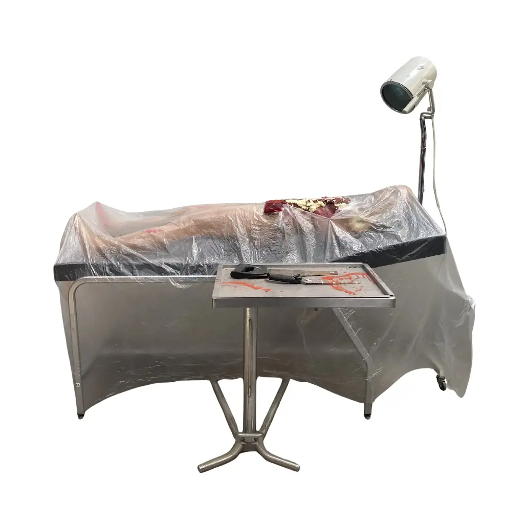 Ilot Laboratoire sanglant