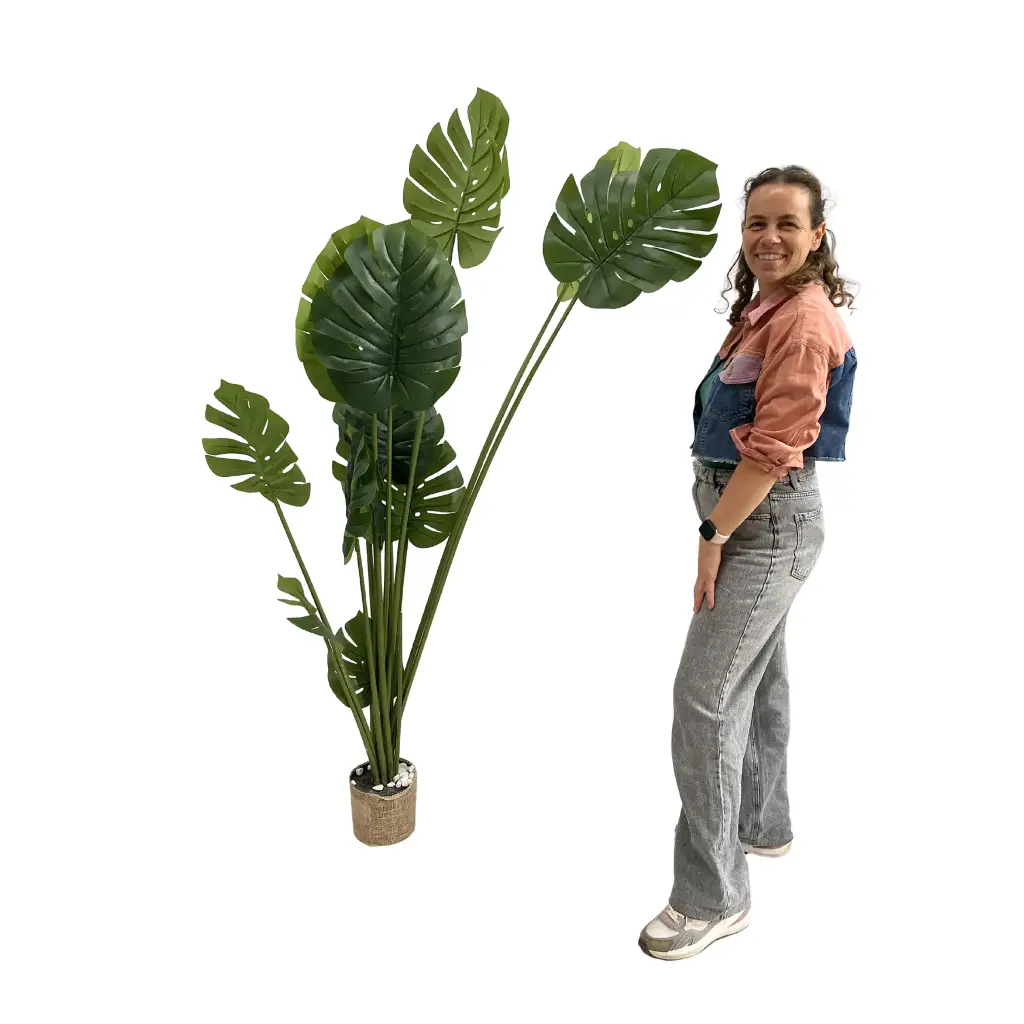 Plante monstera - 180cm