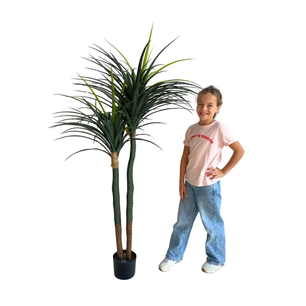 Yucca double - 160cm