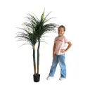 Yucca double - 160cm