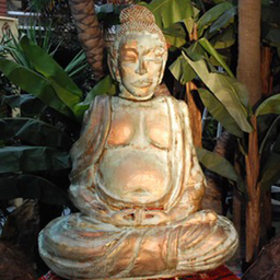 [locasi39] Bouddha - 153cm