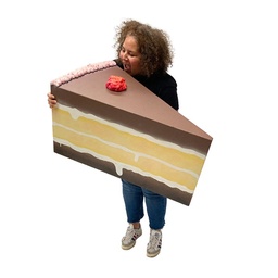 [locbon5] Part de Gâteau au chocolat - 50cm