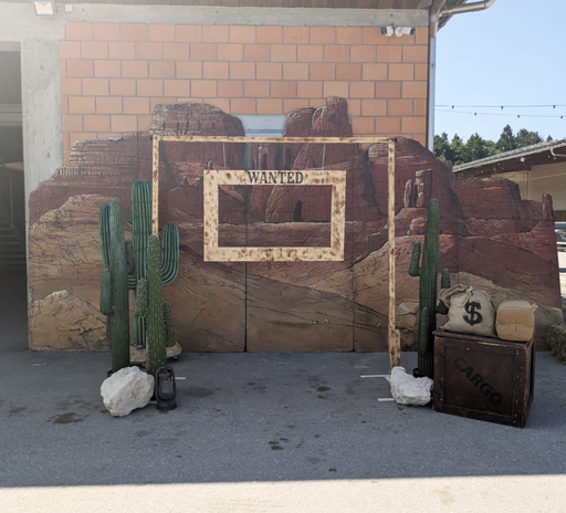 [locfar14] Panneau Grand Canyon - 293cm