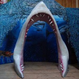 [locpla17] Bouche de requin - 235cm