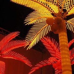 [locpla91] Palmier lumineux 480cm