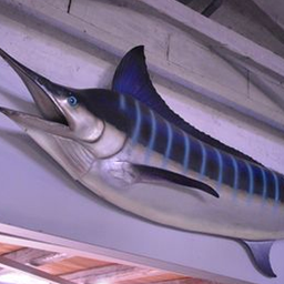 [locpla111] Poisson Marlin - 88cm
