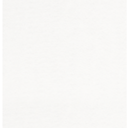 [1004] Moquette blanc neige 1004