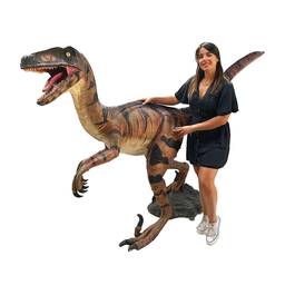 [locdin5] Dinosaure Vélociraptor - 160cm