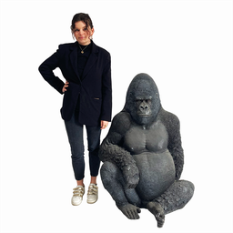 [locsau30] Gorille assis
