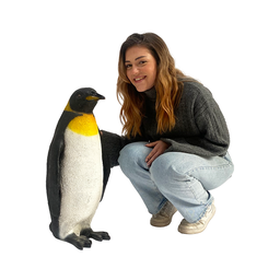 [locban60] Pingouin - 70cm