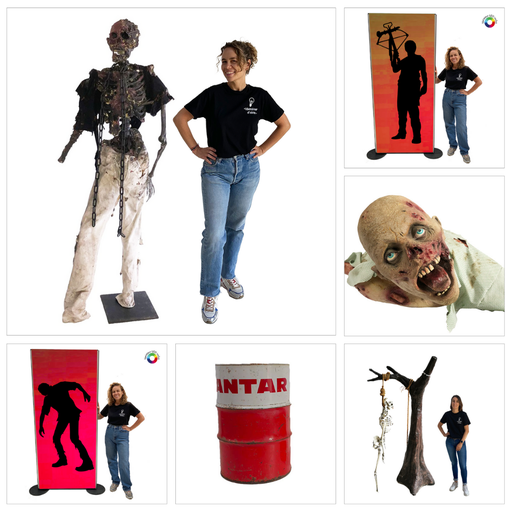 [locpac50] Décopack The Walking Dead