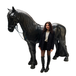 [locfer71] Grand cheval noir - 210cm