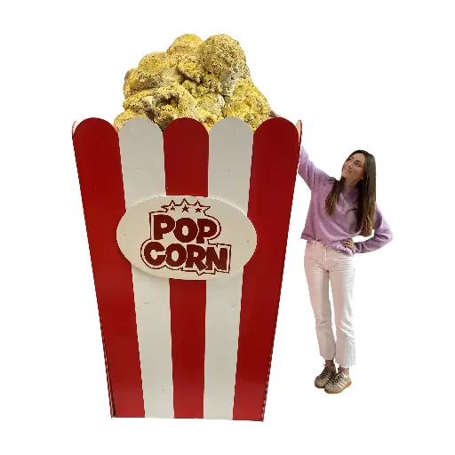 [locbon29] Pop Corn - 240cm
