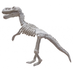 [locdin13] Squelette de dinosaure - 75cm