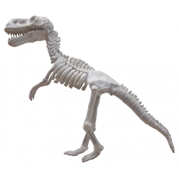 https://www.liberateurdidees.com/web/image/product.template/4749/image_256/%5Blocdin13%5D%20Squelette%20de%20dinosaure?unique=c9b12ce