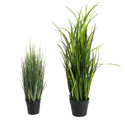 [locjun55] Plante grasse en pot - 50cm