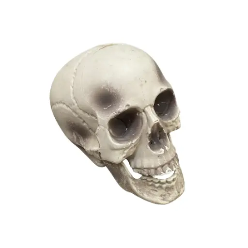 [lochal63] Petite tête de mort