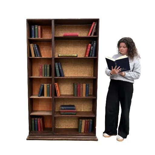 [loceco38] Bibliothèque + livres - 190cm