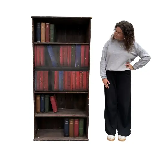 [loceco37] Bibliothèque faux livres