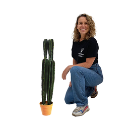 [locfar125] Cactus 72cm