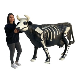 [locdia4] Vache squelette - 160cm
