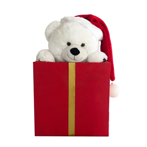 [locnoe280] Ourson blanc dans cadeau