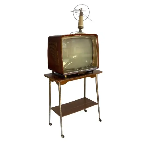 [loca7016] Télévision rétro - 168cm