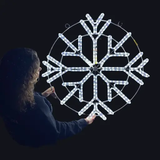 [locnoe370] Flocon lumineux blanc froid - 80cm