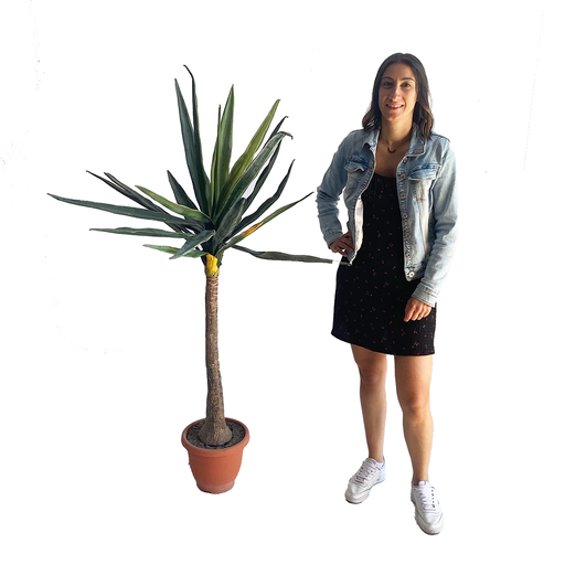 [locveg52] Arbre Yucca - 160cm