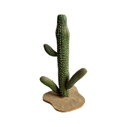 [locveg55] Cactus - 70cm