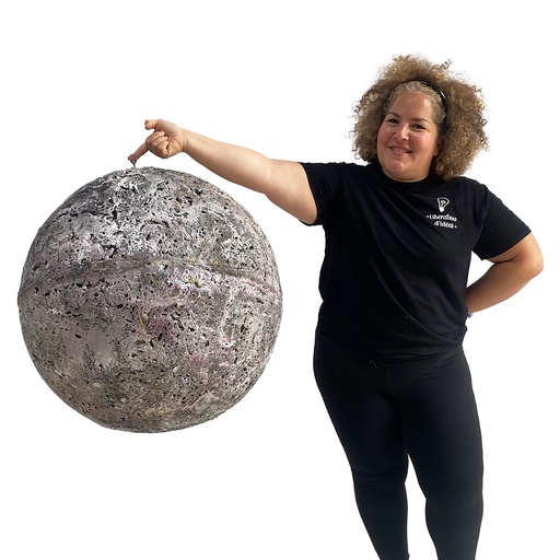 [locsci42] Planète divers modèles - 70cm