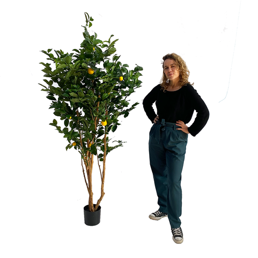 [locveg57] Citronnier - 180cm