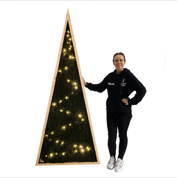 [locnoe231] Sapin vert 2D lumineux - 220cm
