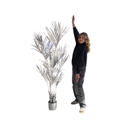 [locveg54] Plante kentia coloré - 180cm