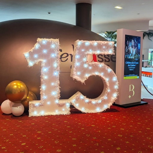 [loclet13] Chiffre lumineux à plumes blanches - 175cm