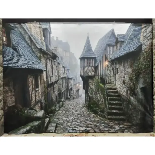 [locmed16] Fond photo médiéval - 280cm