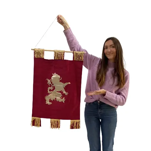 [locmed31] Bannière médiévale velours - 80cm 