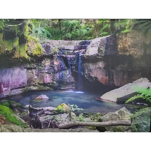 [locjun35] Fond photo jungle avec cascade - 240cm
